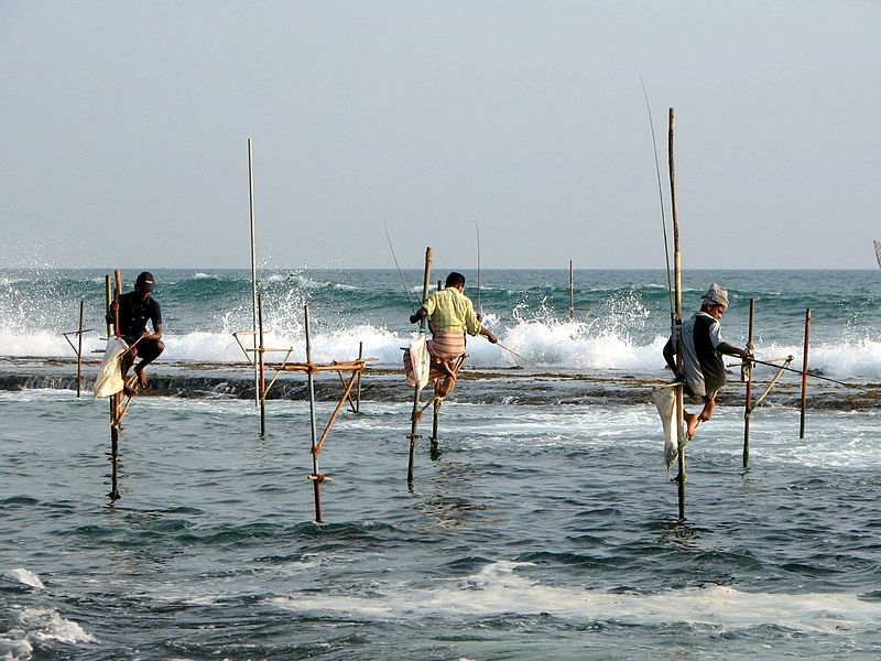 La pêche dété le golfe finlandais la digue du sud 2017